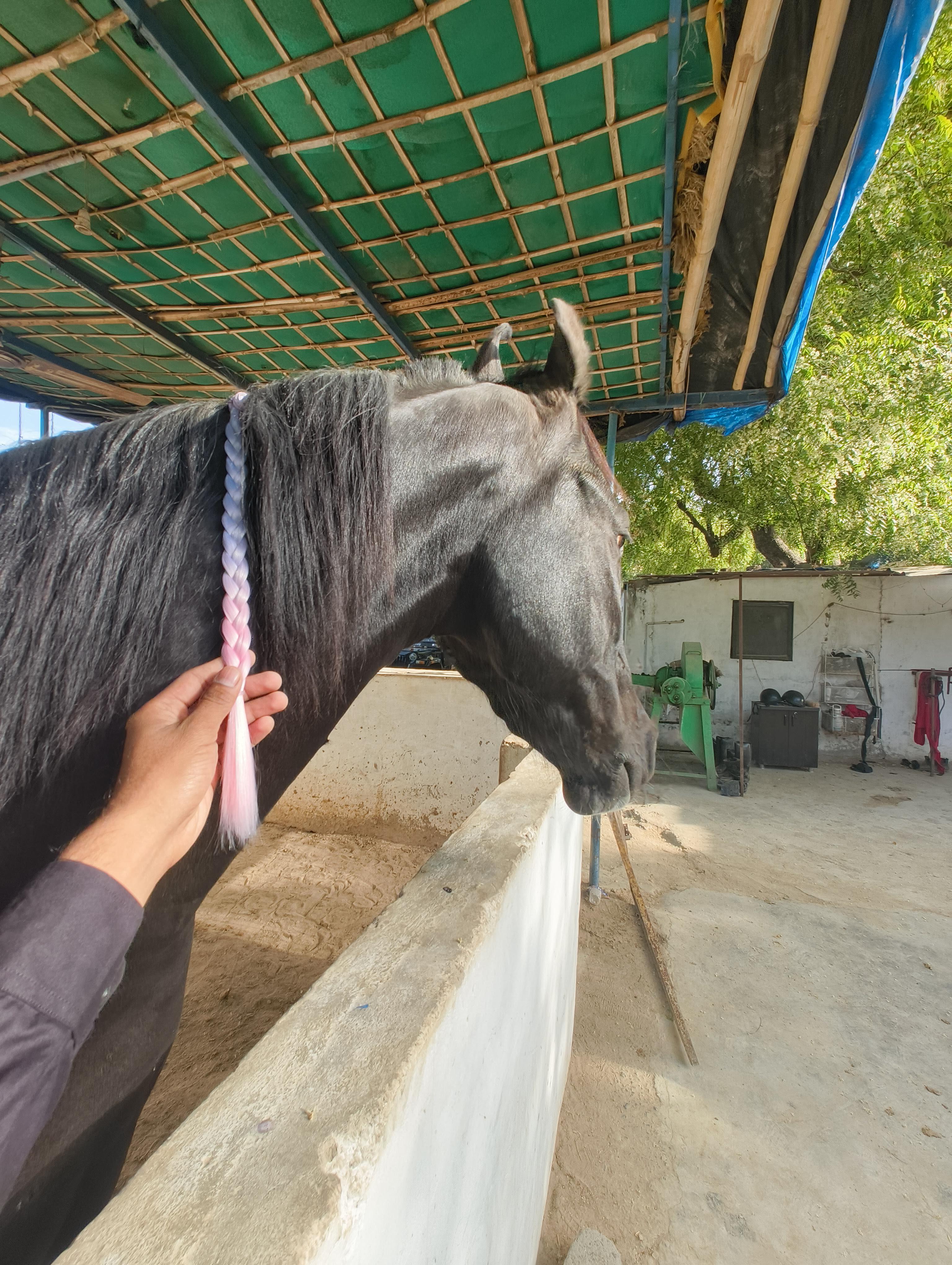 Boarding Stable